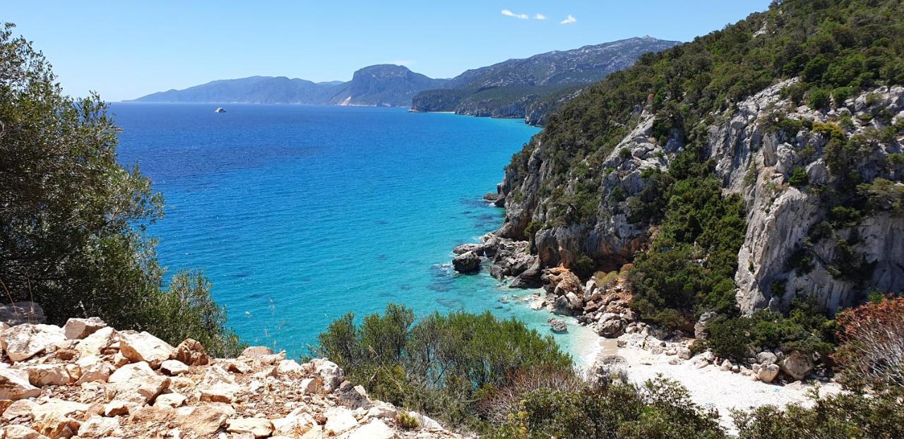 B&B Cala Luna Кала Гононе Екстериор снимка